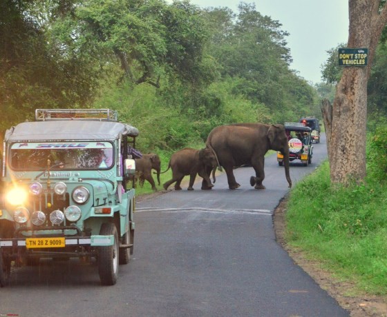 Madhya Pradesh
